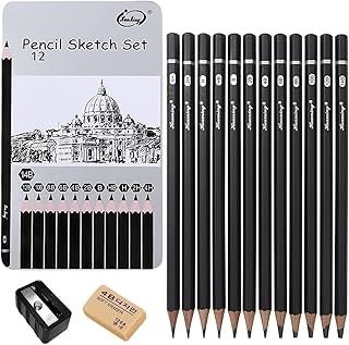 12pcs Sketching Pencils Set, 14B 12B 10B 8B 6B 4B 2B B HB H 2H 4H Graphite Drawing Pencils Professional Sketch Pencils Set for Artist Drawing Art Sketching Shading Manga Office Art Supplies