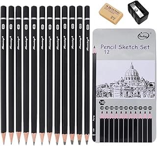 12 Pcs Drawing Pencils Set,2B Graphite Penci, 4B Pencils,HB Pencils, With Sharpener and Eraser,12 Different Models Art Set,4H, 2H, H, HB, B, 2B, 4B, 6B, 8B, 10B, 12B, 14B